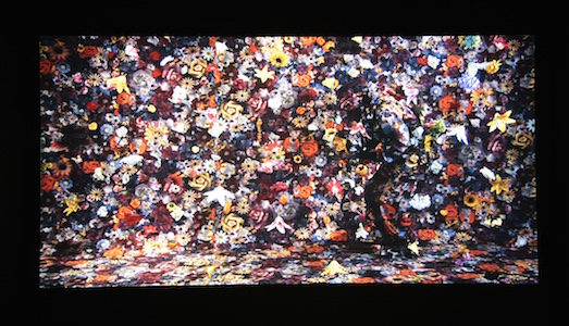 Italiani all’estero. La Collezione Sandretto Re Rebaudengo continua il suo viaggio e arriva in Ecuador